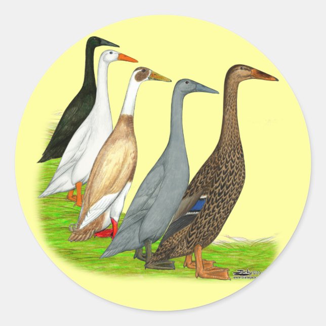 Runner-Duck-Sortiment Runder Aufkleber (Vorderseite)
