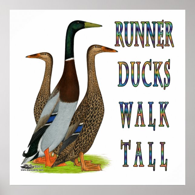 Runner Ducks Walk Tall Poster (Vorne)