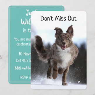 Running Australian Shepherd Birthday