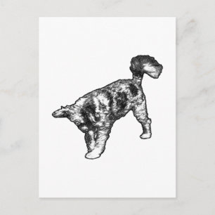 Running Back mit guten Nachrichten Postkarte