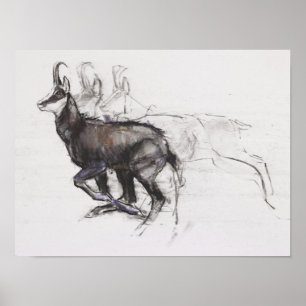 Running Chamois Poster