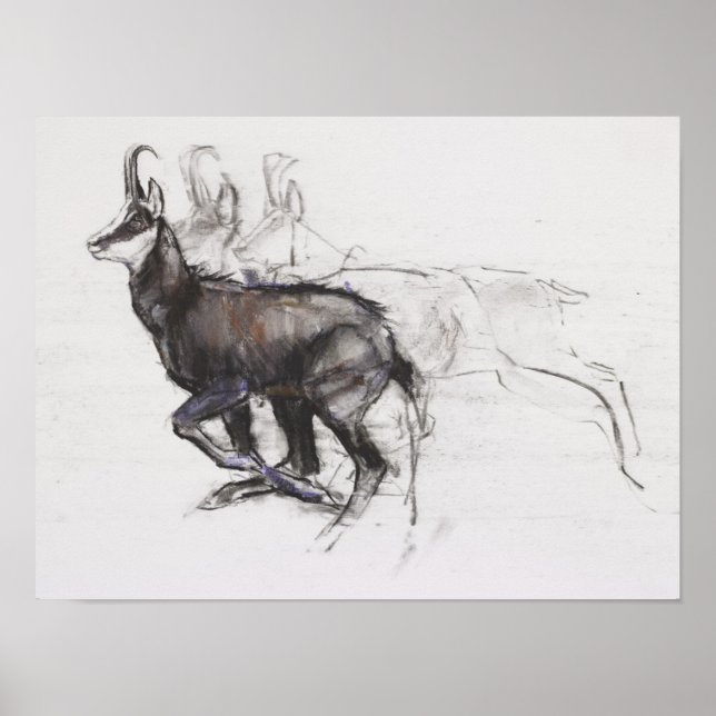 Running Chamois Poster (Vorne)