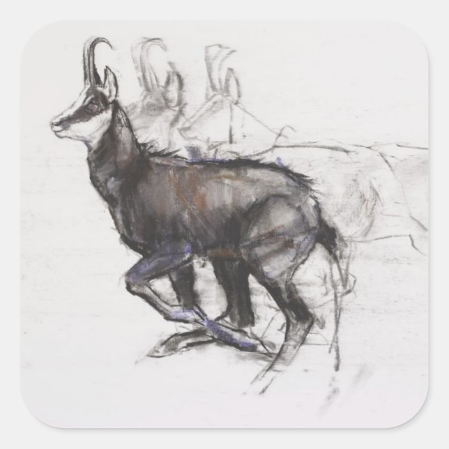 Running Chamois Quadratischer Aufkleber (Vorderseite)