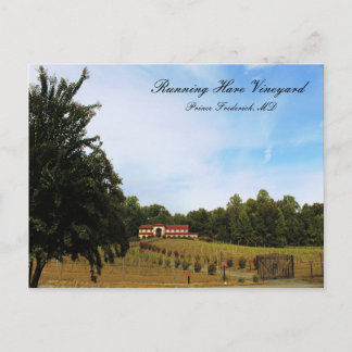 Running Hare Weinberg Postkarte