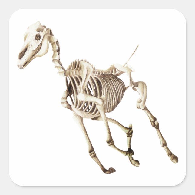 Running Horse Skeleton Quadratischer Aufkleber (Vorderseite)