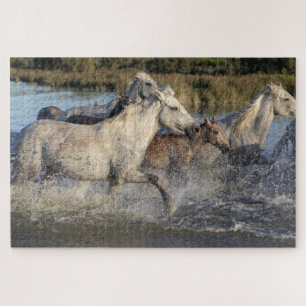 Running Horses Puzzle