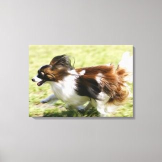 Running Papillon Leinwanddruck