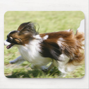 Running Papillon Mousepad