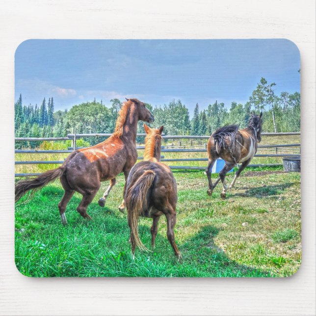 Running Pinto Paint Gelding & Kastanienbälle Mousepad (Vorne)