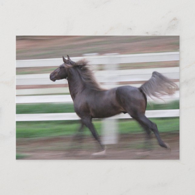 Running Proud Postkarte (Vorderseite)