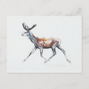 Running Stag in velvet Polsen 2006 Postkarte