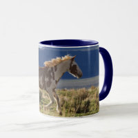 Running Stallion, Steens Mountains, Oregon