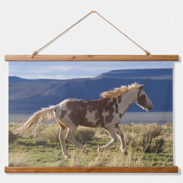 Running Stallion, Steens Mountains, Oregon Wandteppich Mit Holzrahmen (Vorne)