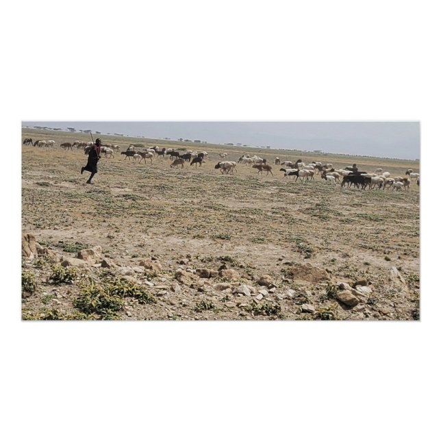 Running the Serengeti Poster (Vorderseite)