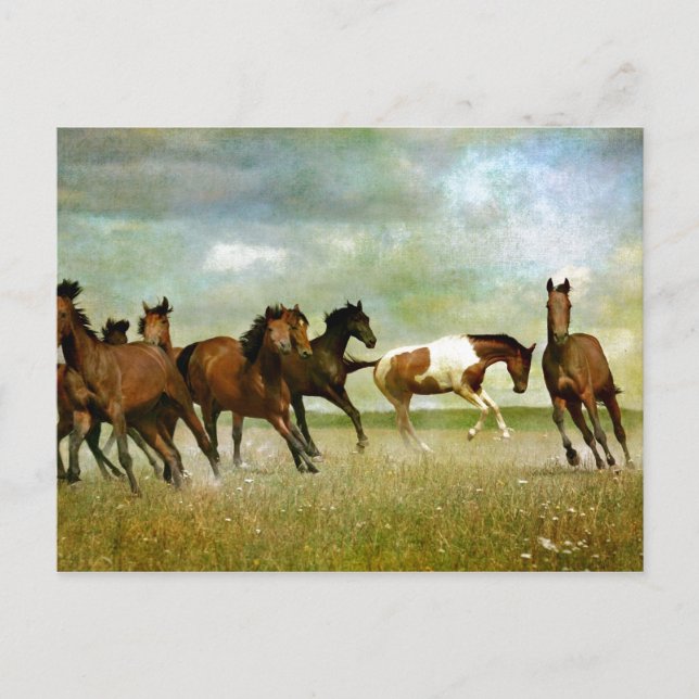 Running Wild Horses - Vintage kreative Kunst Postkarte (Vorderseite)