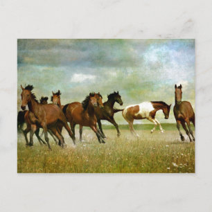Running Wild Horses - Vintage kreative Kunst Postkarte