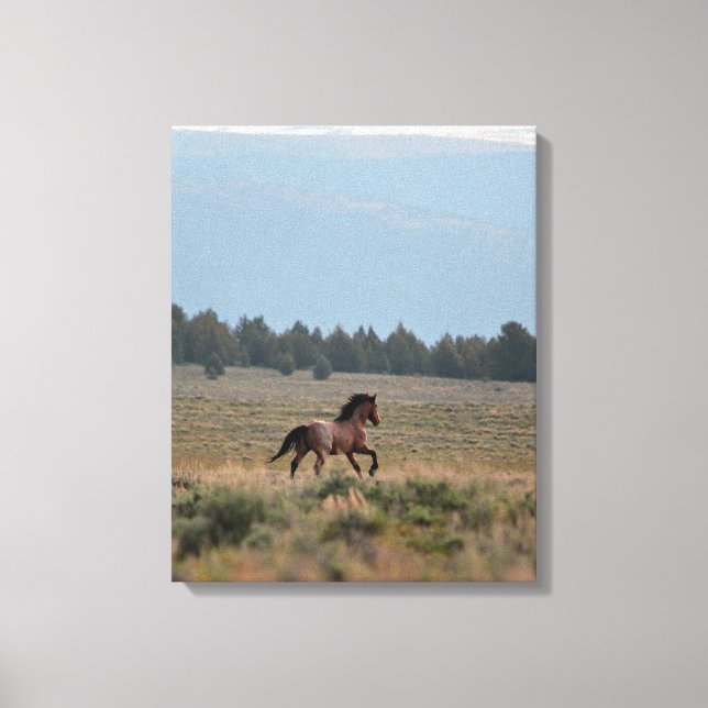 Running Wild Roan Leinwanddruck (Vorderseite)