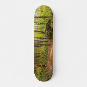 runter und rund skateboard