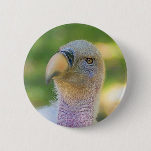 Rupells Griffon-Vulture Button
