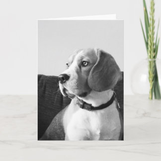 Rupert die Beagle-Dog-Blank-Grüße-Karte. Karte