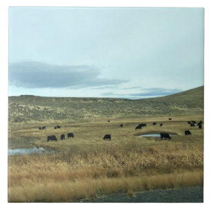 Rural Baker Landkreis, Oregon Fliese