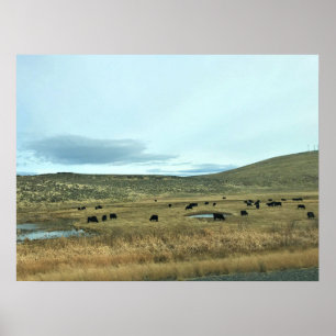 Rural Baker Landkreis, Oregon Poster