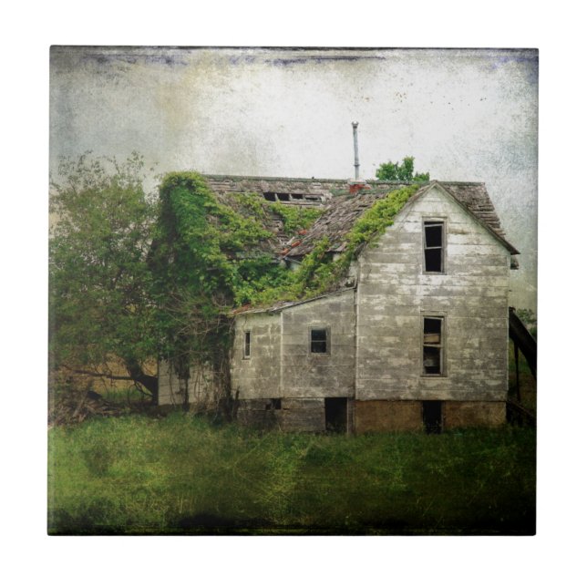 Rural Missouri Abandoned House Fliese (Vorderseite)