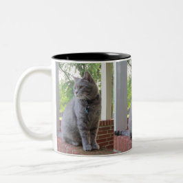 Russ die Cat-Tasse Zweifarbige Tasse