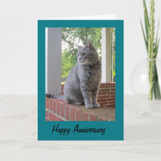 Ruß The Cat Happy Anniversary Greeting Card Karte
