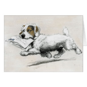 Russell Terrier liefert Post