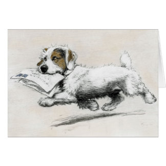 Russell Terrier liefert Post