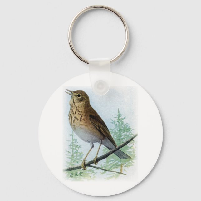 Russet-Backed Thrush Schlüsselanhänger (Vorderseite)