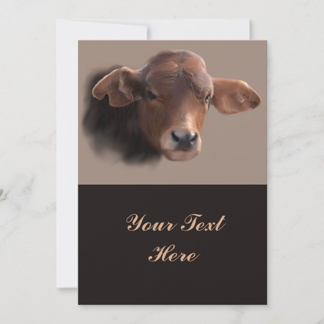 Russet Brown Cow Portrait (Vorderseite)