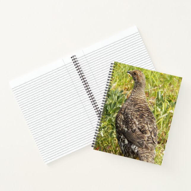 Rußhuhn-Wildtier-Foto Notizbuch (Innenseite)
