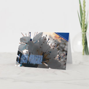 Russian Birthday card with Cherry Flowers Karte