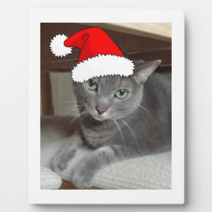 Russian Blue Cat Christmas Fotoplatte