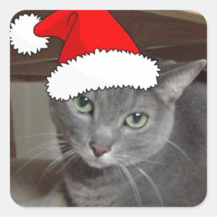 Russian Blue Cat Christmas Quadratischer Aufkleber