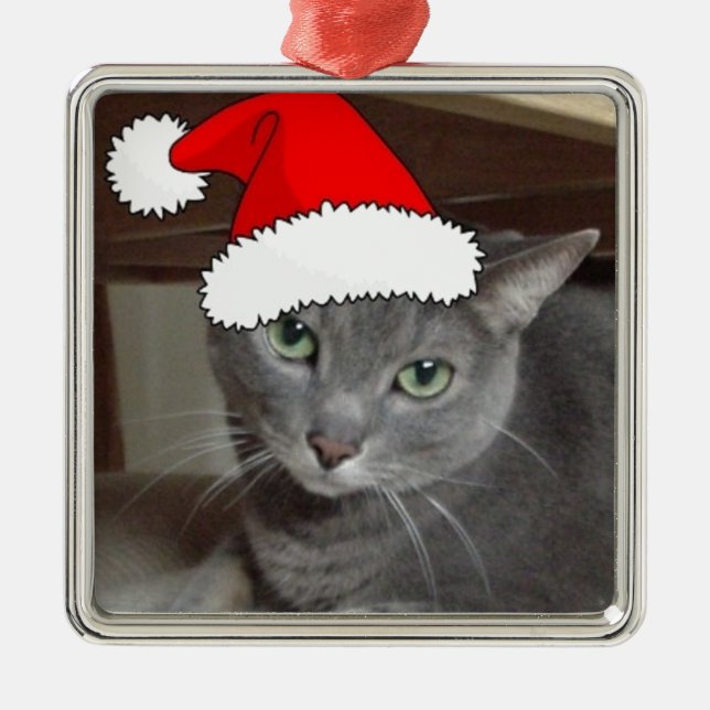 Russian Blue Cat Christmas Silbernes Ornament (Vorne)