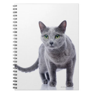 Russian Blue Cat Notizblock