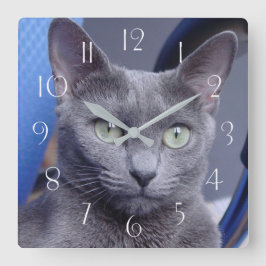 Russian Blue ‎ Cat Quadratische Wanduhr