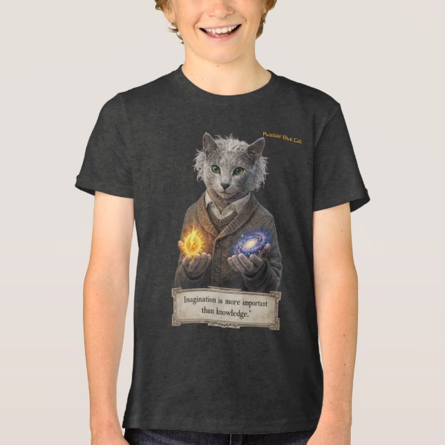 Russian Blue Einstein Cat - Imagination Tri-Blend Shirt (Vorderseite)