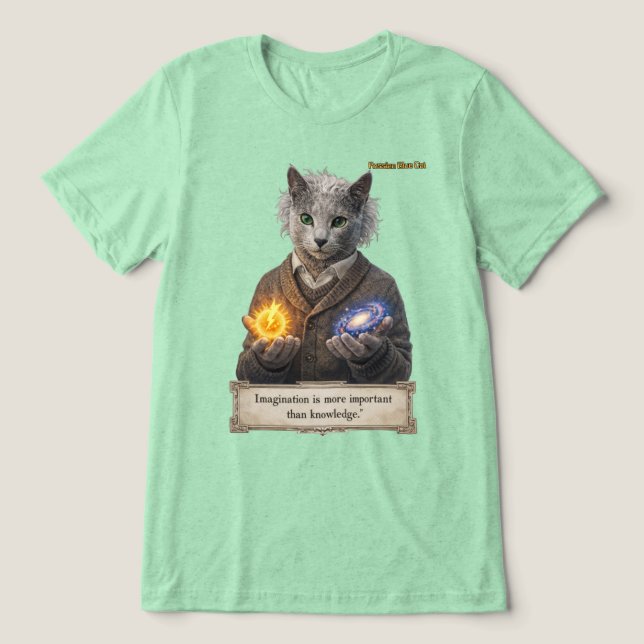Russian Blue Einstein Cat - Imagination Tri-Blend Shirt (Design Vorderseite)