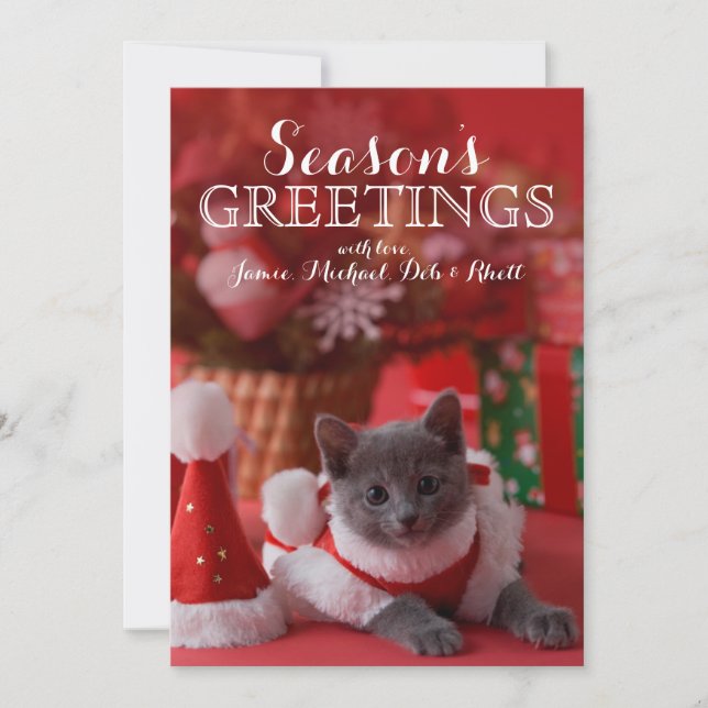 Russian Blue Kitten and Christmas Feiertagskarte (Vorderseite)