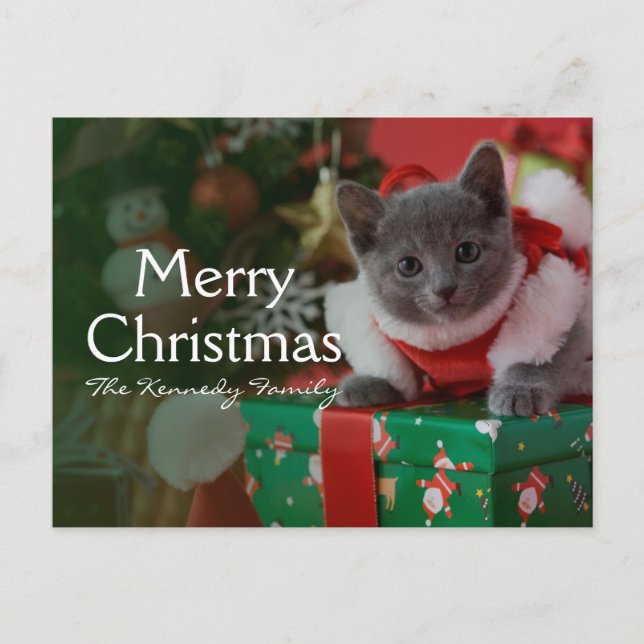 Russian Blue Kitten and Christmas Feiertagspostkarte (Vorderseite)