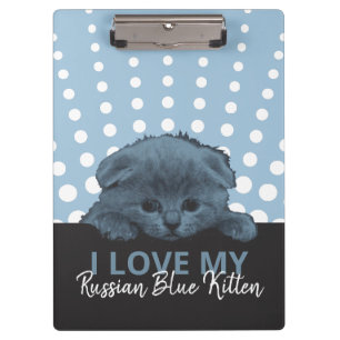 Russian Blue Kitten Klemmbrett