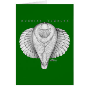 Russian Tumbler Top View