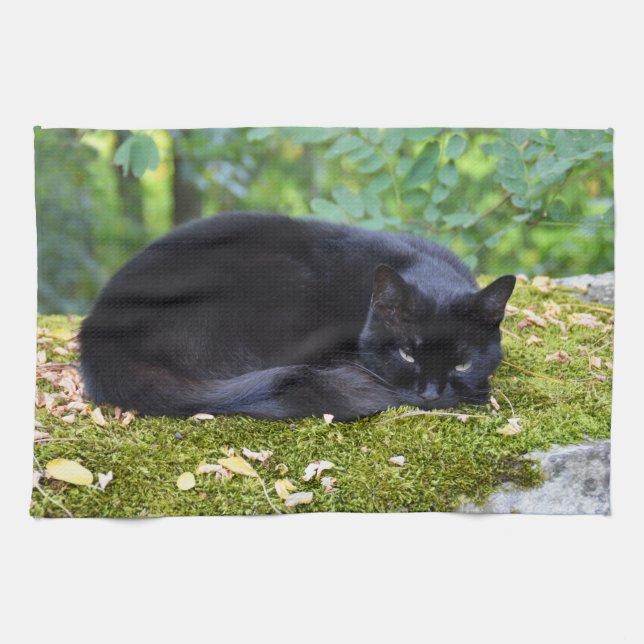 Rußiger schwarzer Kater Geschirrtuch (Horizontal)