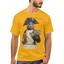 Russisch Blau Napoleon Bonaparte Katze