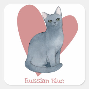 Russisch Blue Cat Watercolor Kitty Pink Herz Quadratischer Aufkleber
