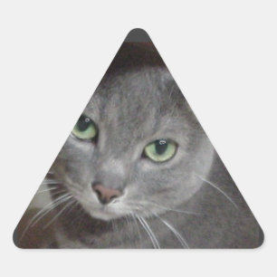 Russisch-graue Katze Dreieckiger Aufkleber